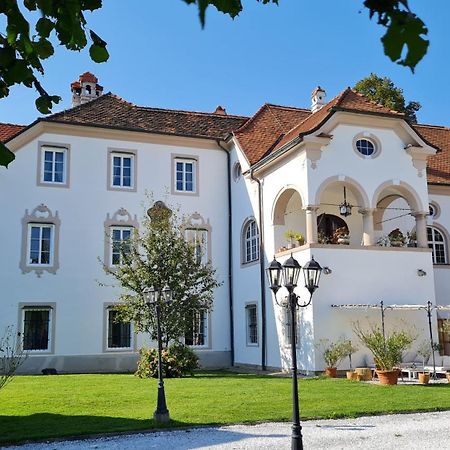 Bed and Breakfast Gewerkenschloessl Zeilinger Knittelfeld Exterior foto